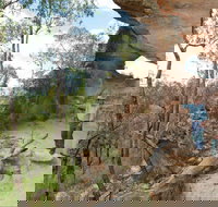 Pilliga National Park - Foster Accommodation