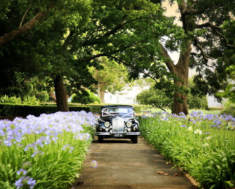 Queens Park, Toowoomba - Foster Accommodation 2