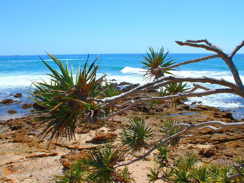 Rocky Point - Foster Accommodation 1
