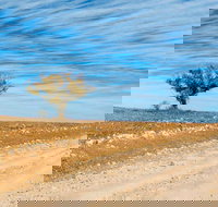 Sturts Steps Touring Route - Foster Accommodation