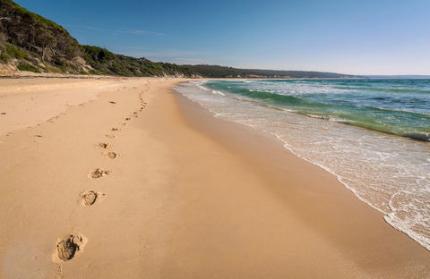 Terrace Beach And Lennards Island - Foster Accommodation 0