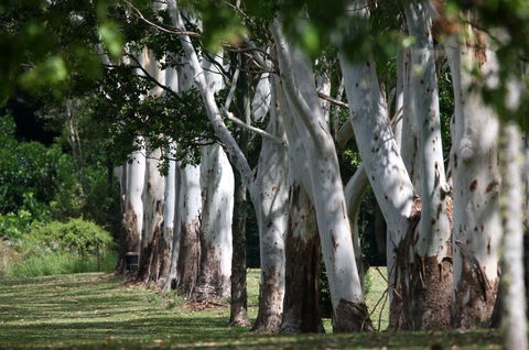 Teven Valley Golf Course - Foster Accommodation 1