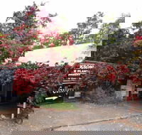 The Gallery Mt Macedon - Foster Accommodation