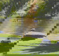 The Lions Junction Park - Tumut - Foster Accommodation