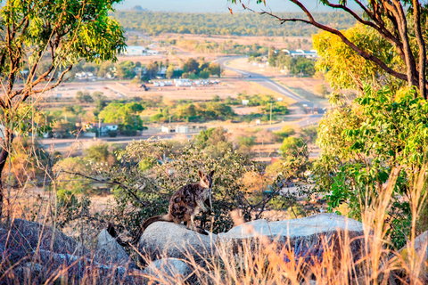 Towers Hill Lookout And Amphitheatre - Foster Accommodation 2