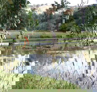 Tumut Wetlands - Foster Accommodation