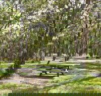 Wollomombi Gorge and Falls Picnic Area - Foster Accommodation