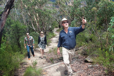 Small-Group Blue Mountains Tour With Bush Walks And Featherdale Wildlife Park - Foster Accommodation 3