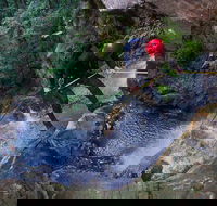 Small-Group Full-Day Canyoning and Abseiling Adventure from Katoomba - Foster Accommodation