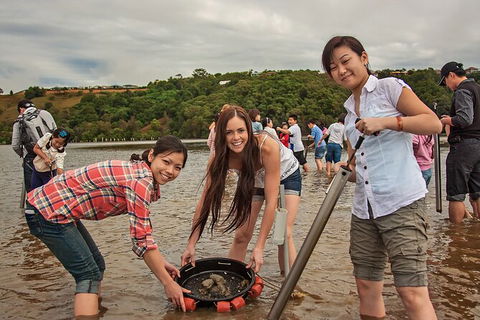 Catch A Crab Tour With Optional Seafood Lunch - Foster Accommodation 6