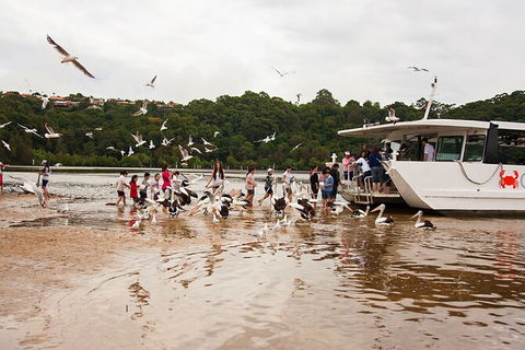 Catch A Crab Tour With Optional Seafood Lunch - Foster Accommodation 1