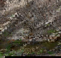 Brisbane Ranges National Park - Foster Accommodation