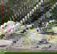 Maroochy Regional Bushland Botanic Garden - Foster Accommodation