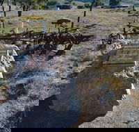 Wangaraleednie Monument  Ruins - Foster Accommodation