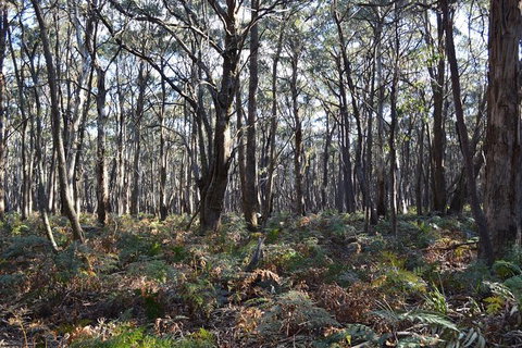 Six Foot Track - Foster Accommodation 3