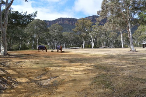Six Foot Track - Foster Accommodation 1