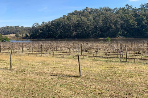 Sydney Winery And Cider Tour. - Foster Accommodation 4