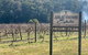 Sydney Winery And Cider Tour. - thumb 0