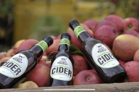 Sydney Winery And Cider Tour. - Foster Accommodation 2