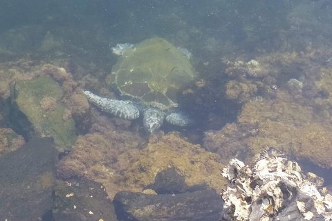 Sawtell To Coffs Harbour Bike Ride - Foster Accommodation 4