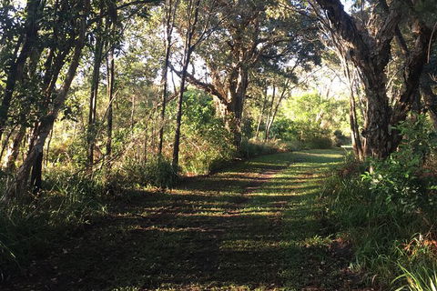 Coffs Harbour To Sawtell Bike Ride - Foster Accommodation 7