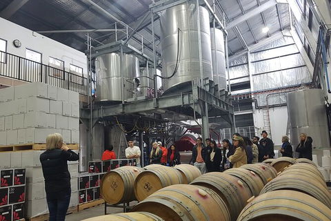 Hunter Valley Small Group Wine, Gin, Cheese & Chocolate Tour - Foster Accommodation 6