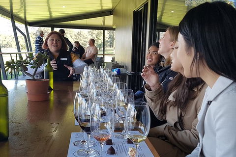 Hunter Valley Small Group Wine, Gin, Cheese & Chocolate Tour - Foster Accommodation 2