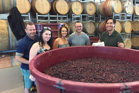 Hunter Valley Small Group Wine, Gin, Cheese & Chocolate Tour - Foster Accommodation 0