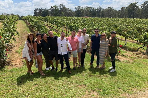 Hunter Valley Exclusive Kangaroo And Wine Tasting Experience - Foster Accommodation 6