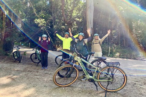 Guided E Bike Tour - Unicorn Falls & National Park - Foster Accommodation 3
