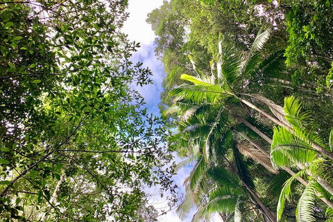 Guided E Bike Tour - Unicorn Falls & National Park - Foster Accommodation 5