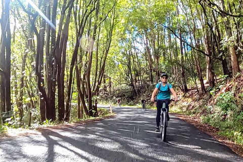 Guided E Bike Tour - Unicorn Falls & National Park - Foster Accommodation 16