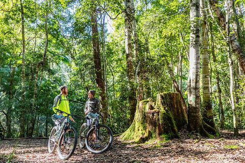 Guided E Bike Tour - Unicorn Falls & National Park - Foster Accommodation 14