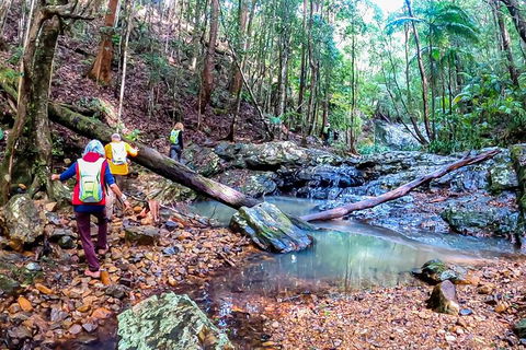 Guided E Bike Tour - Unicorn Falls & National Park - Foster Accommodation 17