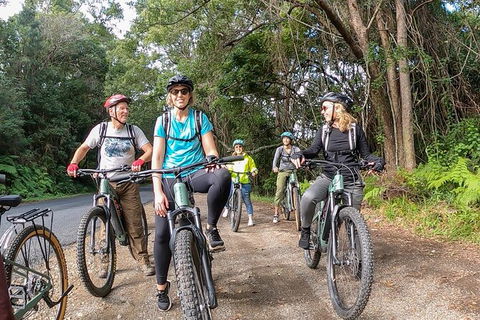 Guided E Bike Tour - Unicorn Falls & National Park - Foster Accommodation 11