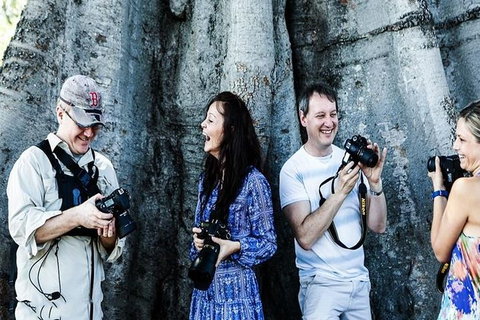 Sydney Travel Morning Photography Tour - Foster Accommodation 5