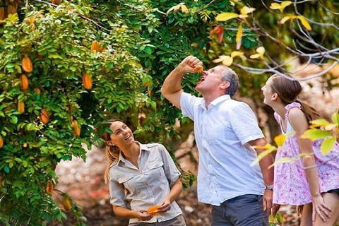 Full-Day Guided Tour Byron Bay With Pickup - Foster Accommodation 1