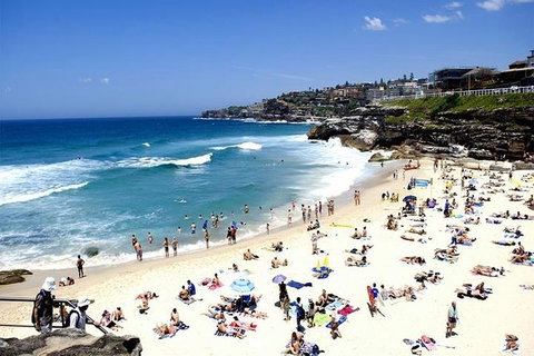 Sydney Bondi Beach And Watsons Bay Half-Day Tour - Foster Accommodation 1