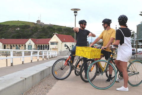 Newcastle Half-Day Bike Tour With Lunch - Foster Accommodation 3