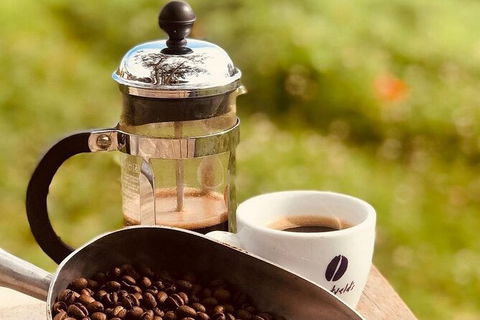 Coffee Farm Tour And Workshop, Byron Bay Hinterland - Foster Accommodation 0