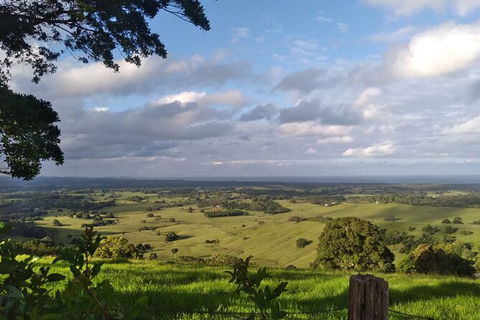 Coffee Farm Tour And Workshop, Byron Bay Hinterland - Foster Accommodation 4
