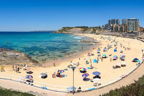 Newcastle Scenic Explorer - 2 Hour Tour By Minibus - Foster Accommodation 16