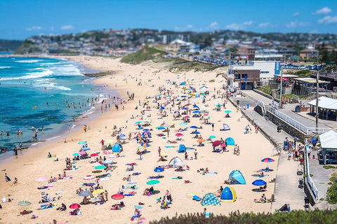 Newcastle Scenic Explorer - 2 Hour Tour By Minibus - Foster Accommodation 6