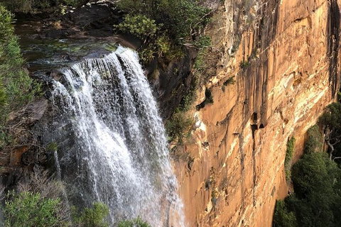 Walking With Wild Wombats Private Day Trip From Sydney - Foster Accommodation 6