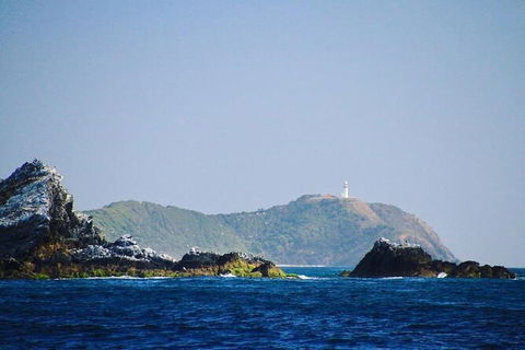 Julian Rocks Byron Bay Cruise - Foster Accommodation 2