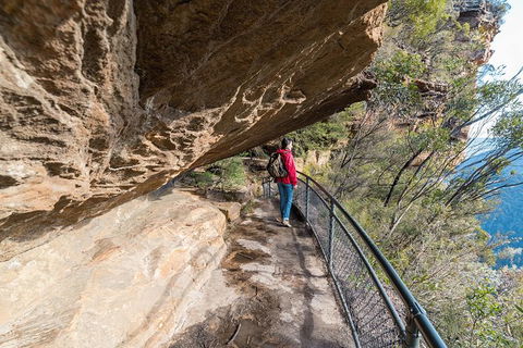 Blue Mountains Highlights & Wildlife Park - Foster Accommodation 0