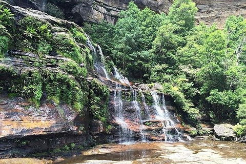 Blue Mountains Highlights & Wildlife Park - Foster Accommodation 8