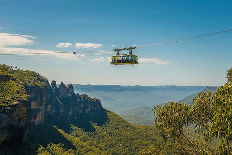 Blue Mountains Highlights, Wildlife Park And Scenic World Full Day Private Tour - Foster Accommodation 0