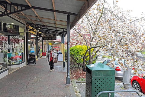 Blue Mountains Highlights, Wildlife Park And Scenic World Full Day Private Tour - Foster Accommodation 2