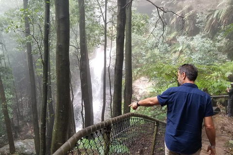 Blue Mountains Highlights, Wildlife Park And Scenic World Full Day Private Tour - Foster Accommodation 6